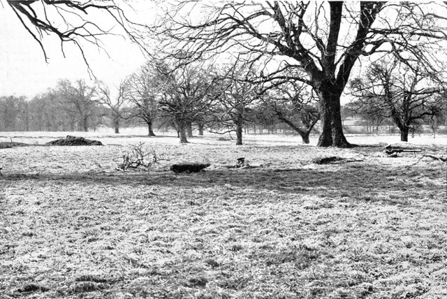 KM_C364e-20160405164102